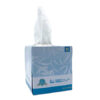 Empress Facial Tissue Cubed, 85 sheets